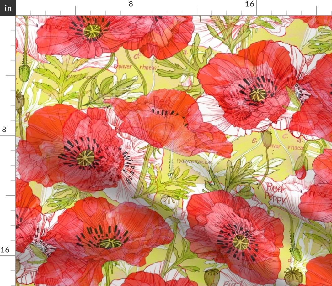 Romance Poppies Botanical Sketchbook