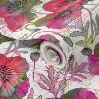 Romance Poppies Mod Colors Botanical