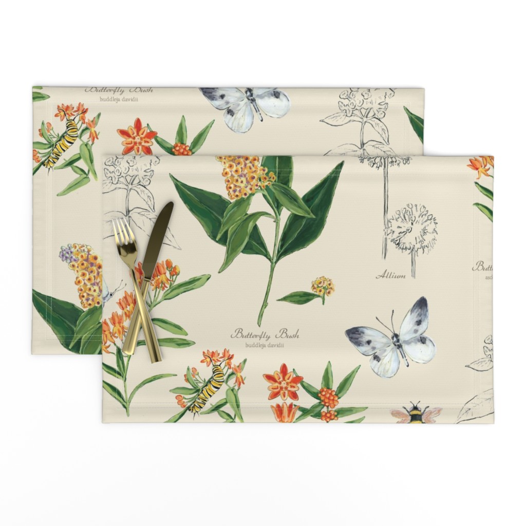 Botanical Sketchbook -  Milkweed and Butterfly Bush 