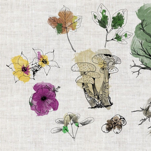 Botanical Sketchbook in Watercolor on Linen