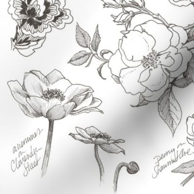 Spoonflower_Botanical_Sketchbook_Pen