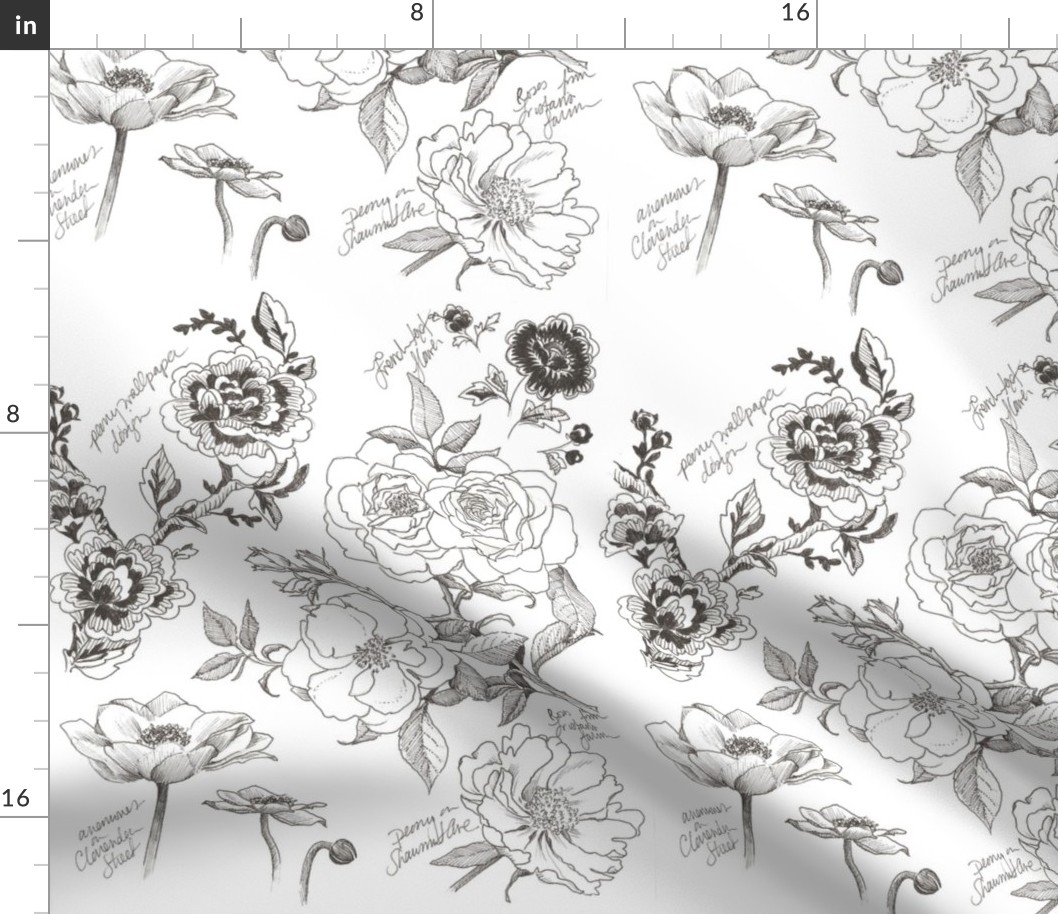 Spoonflower_Botanical_Sketchbook_Pen