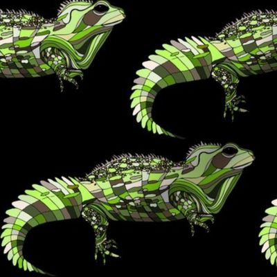 Tuatara Camo on Night Sky