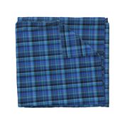 Blue Plaid