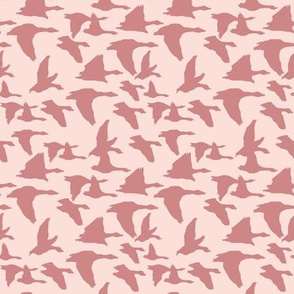 Flying birds in pinks