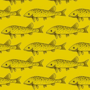 Fish on yellow