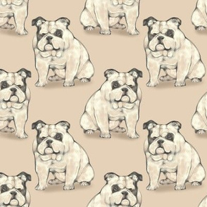 Sitting Bulldog, Tan