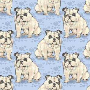 Sitting Bulldog with Blue hearts