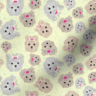 Yorkie Bath Time Buddy fabric abt 1/1/2"