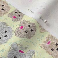 Yorkie Bath Time Buddy fabric abt 1/1/2"