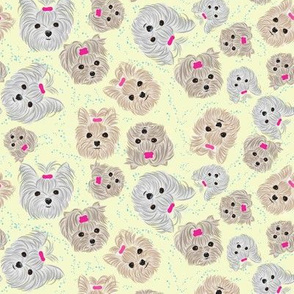 Yorkie Bath Time Buddy fabric abt 1/1/2"