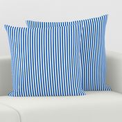 small popcorn stripe (picnic blue)