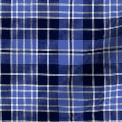 Clark / Clergy family tartan, 6"