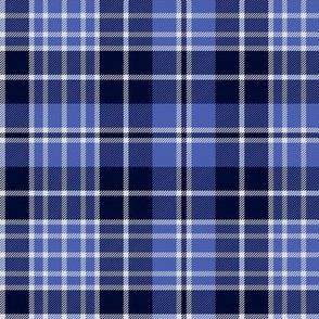 Clark / Clergy family tartan, 6"