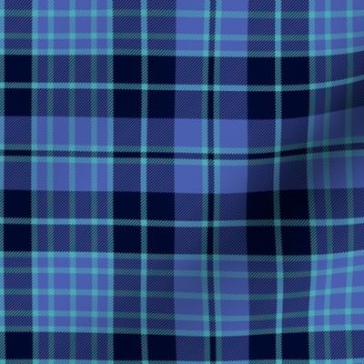 Clark / Clergy / Cargill tartan c.1880, 6"