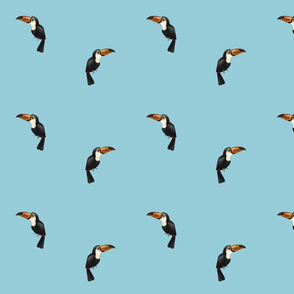 Toucans Blue (small)