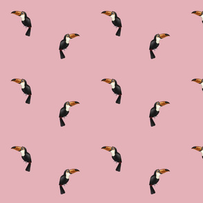 Toucans Pink (small)