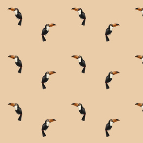 Toucans Peach (small)