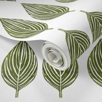 hosta leaves - off white background