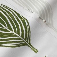 hosta leaves - off white background