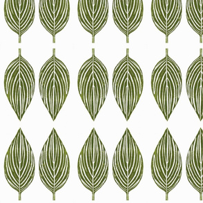 hosta leaves - off white background