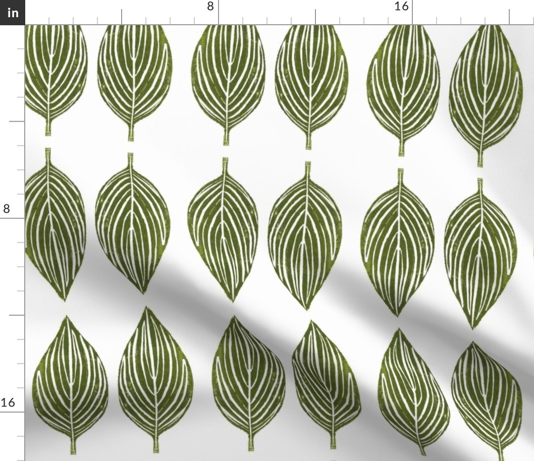 hosta leaves - off white background