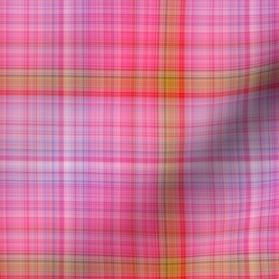 DREAM OF A ORANGE PINK SEA GARDEN Plaid 4