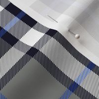 Thomson / Thompson tartan - grey and blue