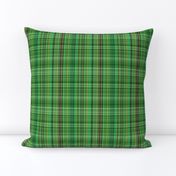 Forest Green Plaid 1