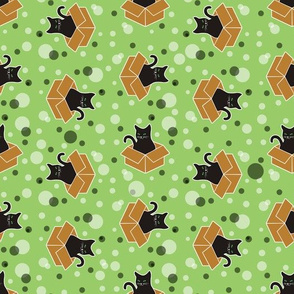Black Cats in Boxes on Green