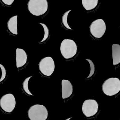 the Phases of the Moon