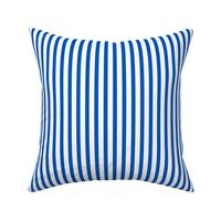 Popcorn Stripe (picnic blue, large)