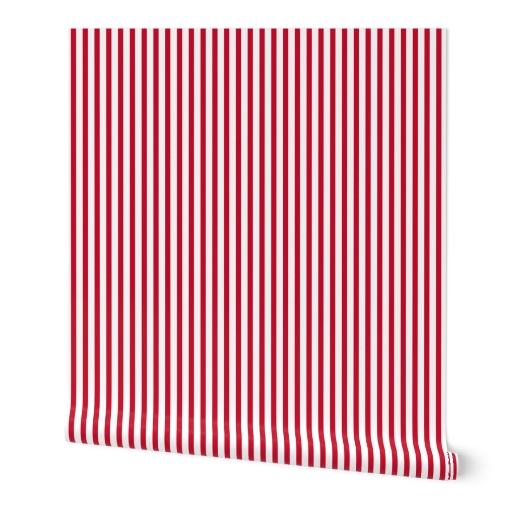 Popcorn stripe (Christmascolors red, large)