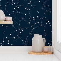 Stars in the zodiac constellations - white on navy