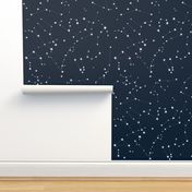 Stars in the zodiac constellations - white on navy