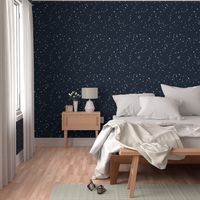 Stars in the zodiac constellations - white on navy