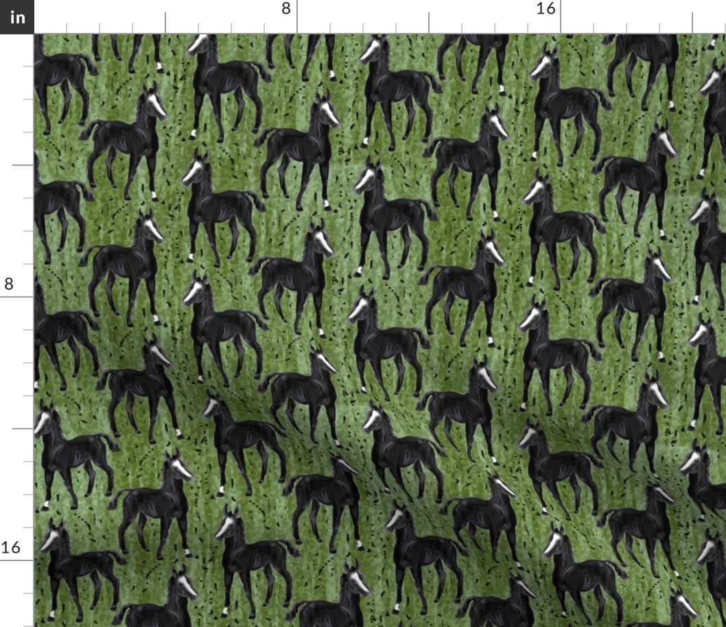 Black Foal on Greens