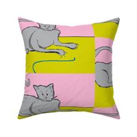 Playful Cat?- pink