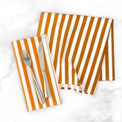 Orange Ombre Stripe