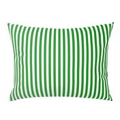 Kelly Green Ombre Stripe