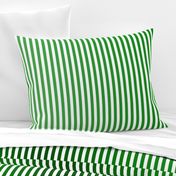 Kelly Green Ombre Stripe