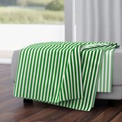 Kelly Green Ombre Stripe