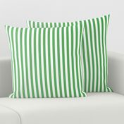 Kelly Green Ombre Stripe