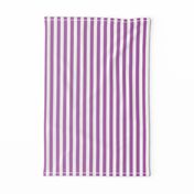 Violet Ombre Stripe