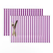 Violet Ombre Stripe