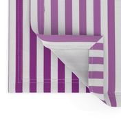 Violet Ombre Stripe