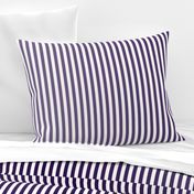 Vintage Violet Ombre Stripe