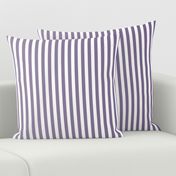 Vintage Violet Ombre Stripe