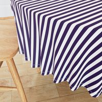 Vintage Violet Ombre Stripe