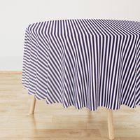 Vintage Violet Ombre Stripe